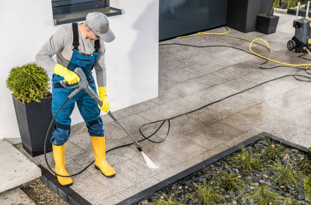 Best Exterior Home Cleaning  in Hopkins, MN