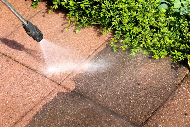 Best Concrete Pressure Washing  in Hopkins, MN